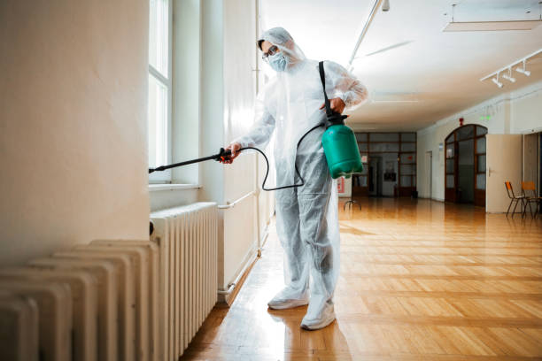 Real Estate Pest Inspections in Slatington, PA